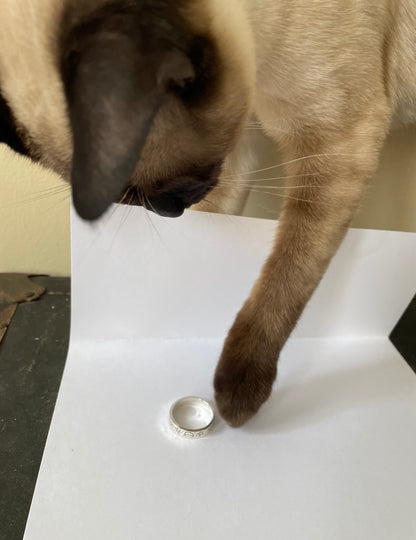 my siamese cat batting my ring while I try and photograph it! 